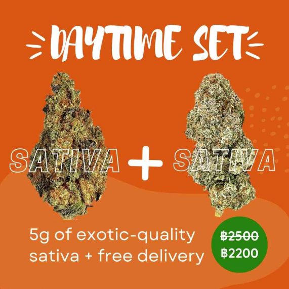 daytime set cannabis weed delivery phuket