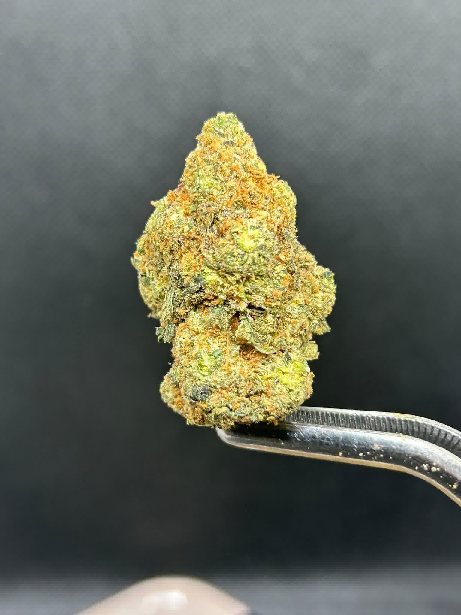 apple kush