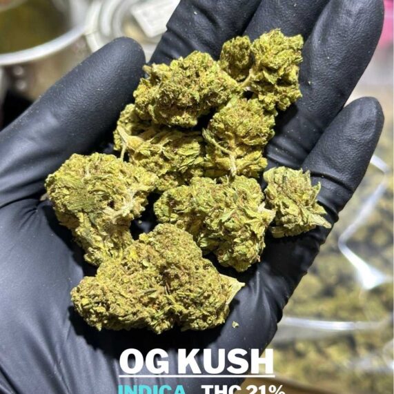 OG Kush cannabis outdoor buy bangkok-2