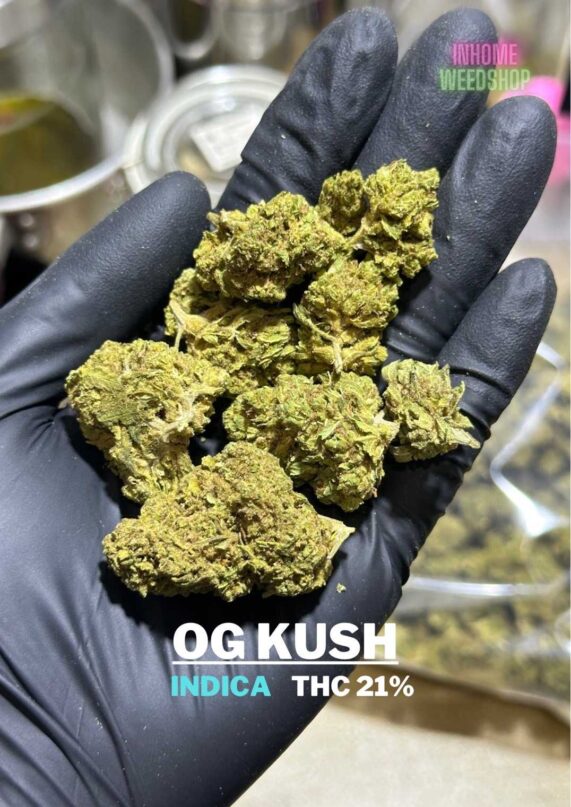 OG Kush cannabis outdoor buy bangkok-2