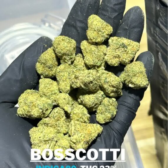 boscotti cannabis buy bangkok