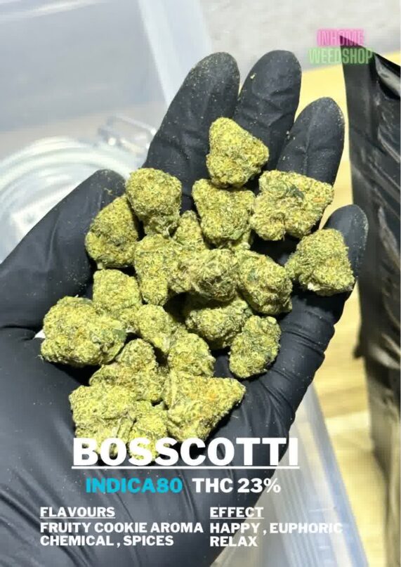 boscotti cannabis buy bangkok