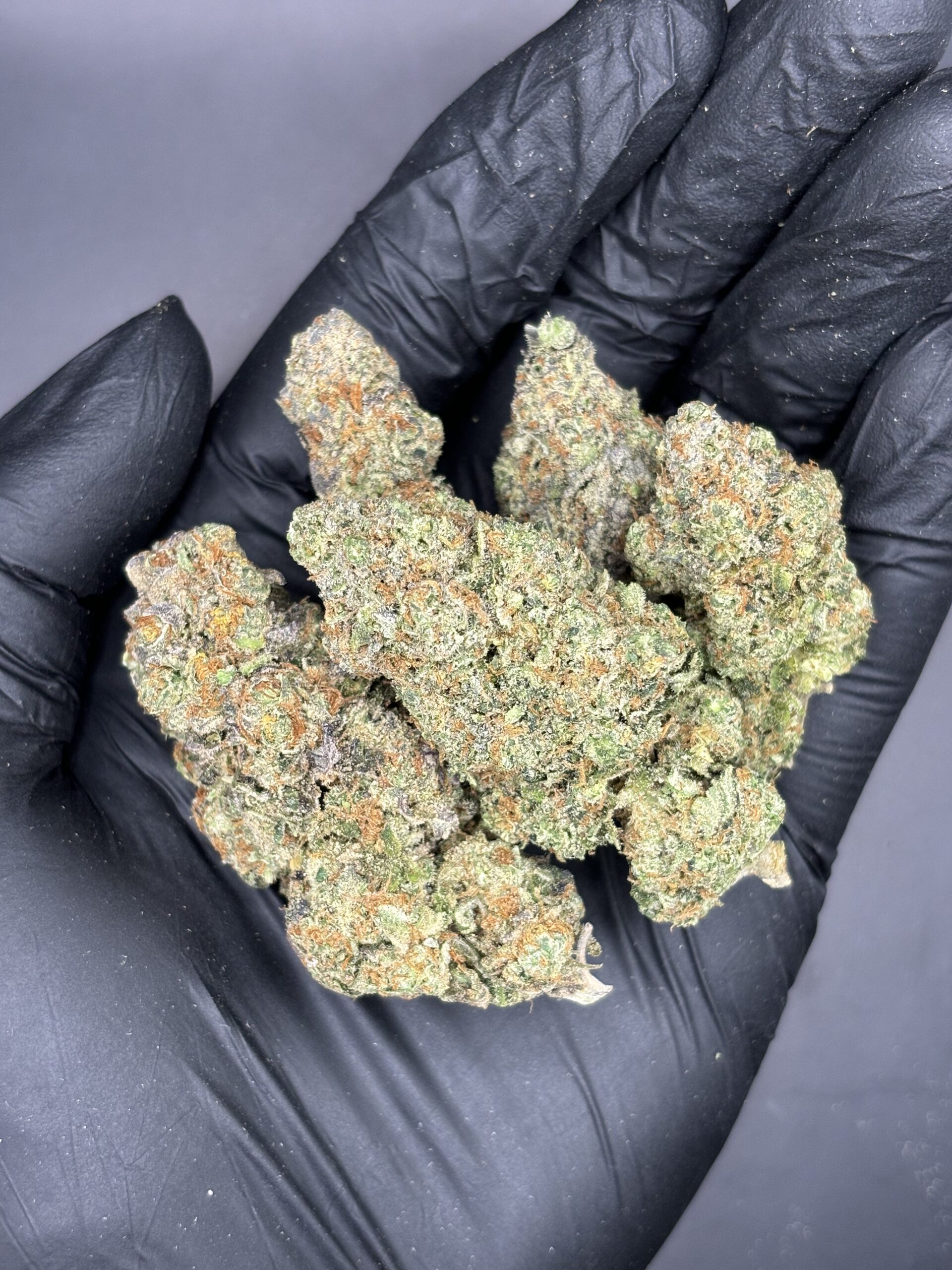 Watermelon Gelato(1) Watermelon Gelato(1)