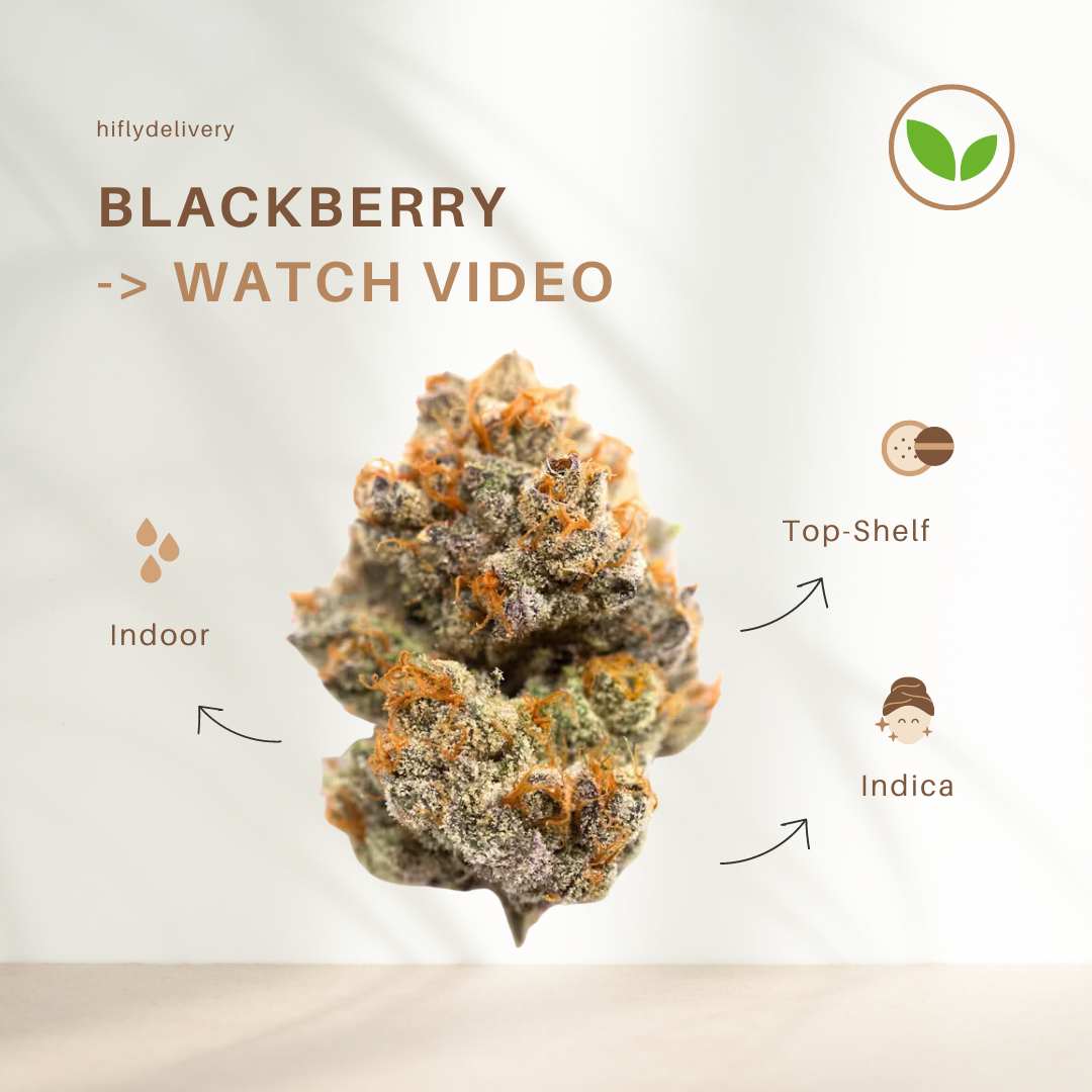 blackberry-wholesale-bulk-bangkok