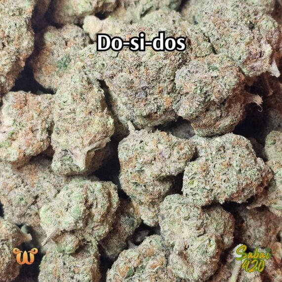 dosidos strain buy in bangkok with delivery