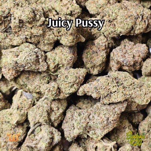 juicy pussy cannabis delivery bangkok sativa