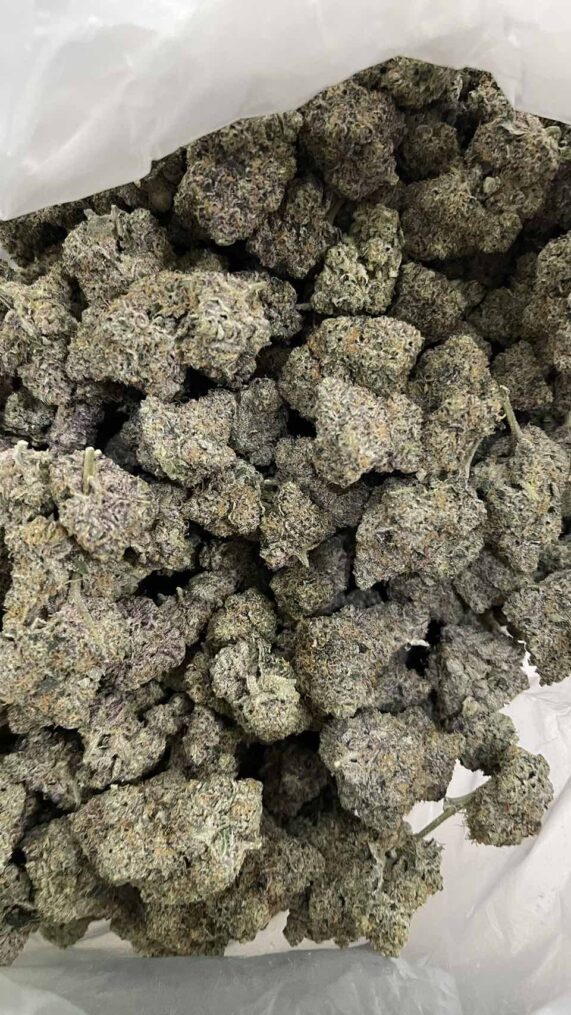 rainbow-runtz-wholesale