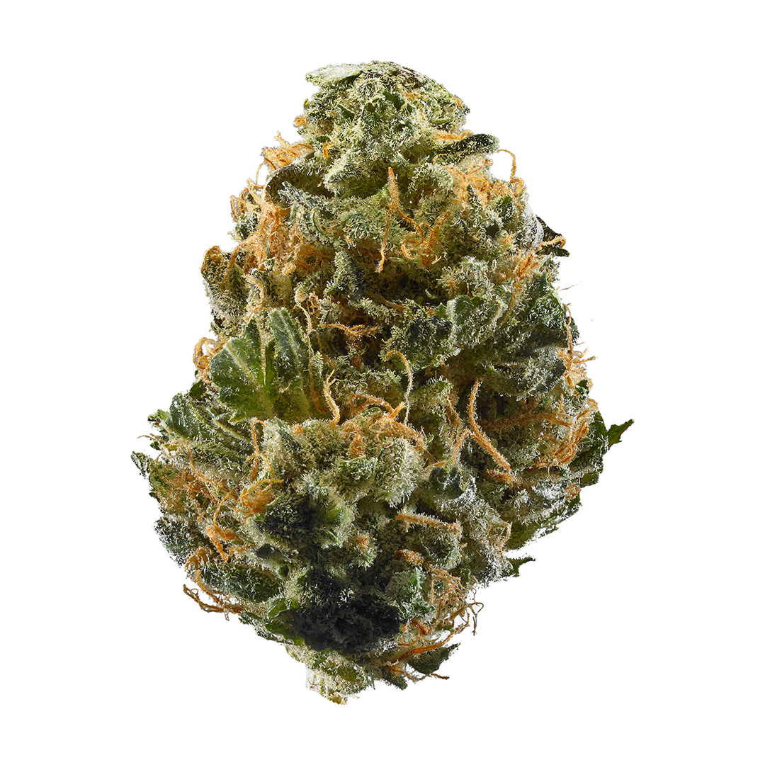 strain-15