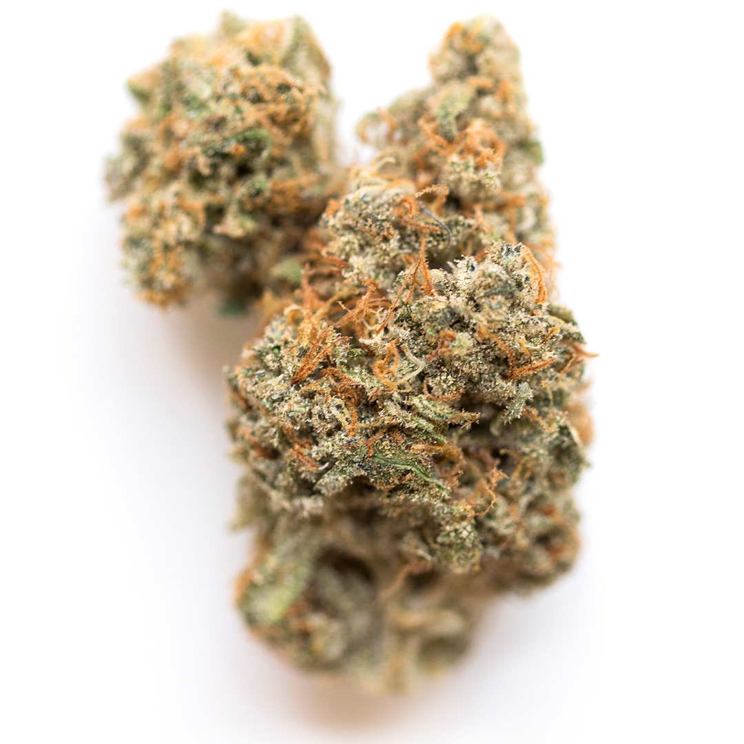 strain-17 (2)