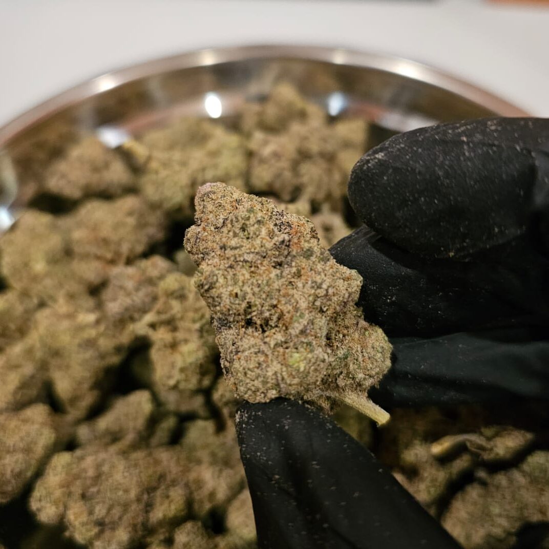 super lemon haze sativa weed delivery bangkok super lemon haze sativa weed delivery bangkok