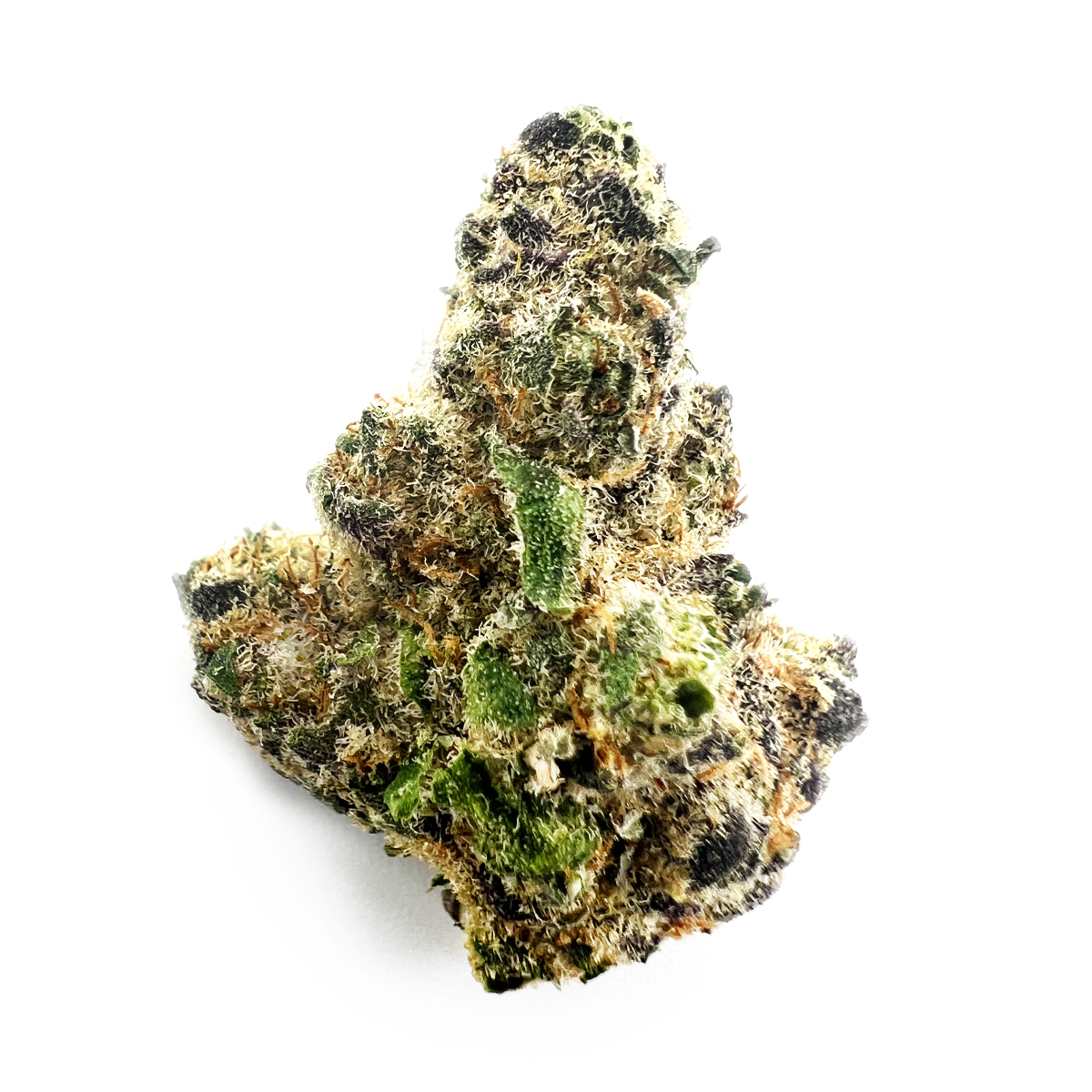 Frozen-Gelato