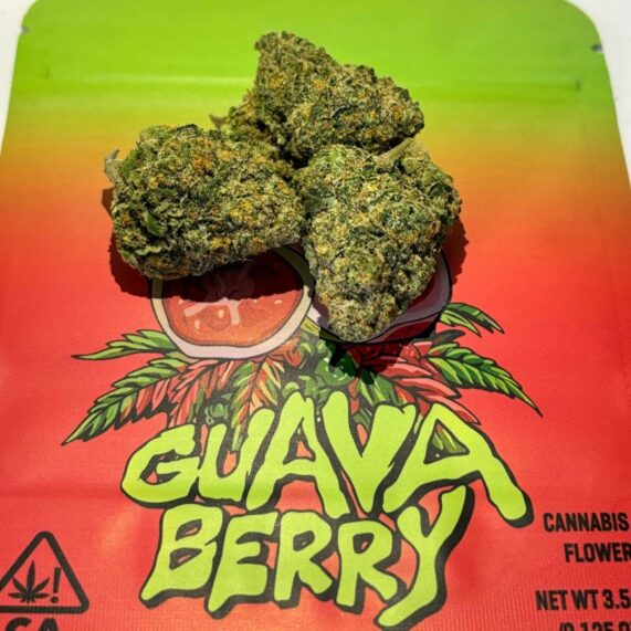 guava berry strain weed pattaya