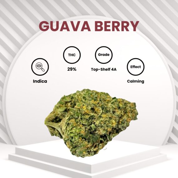 guava berry cannabis pattaya