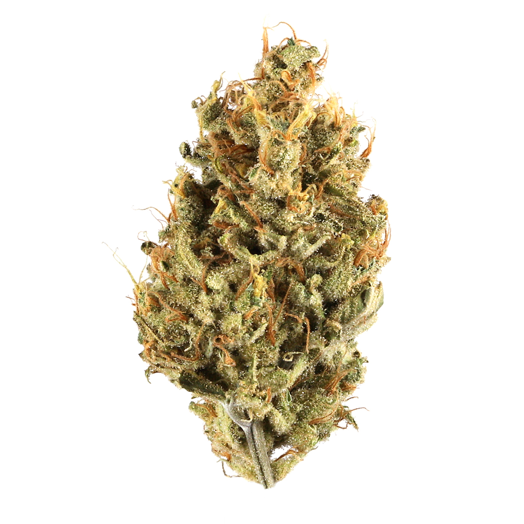 strain-5