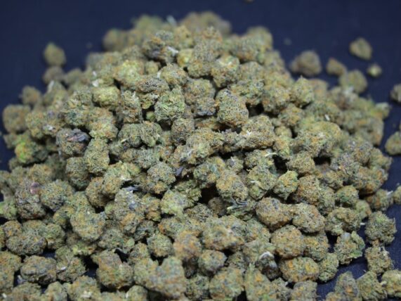 pop mac1