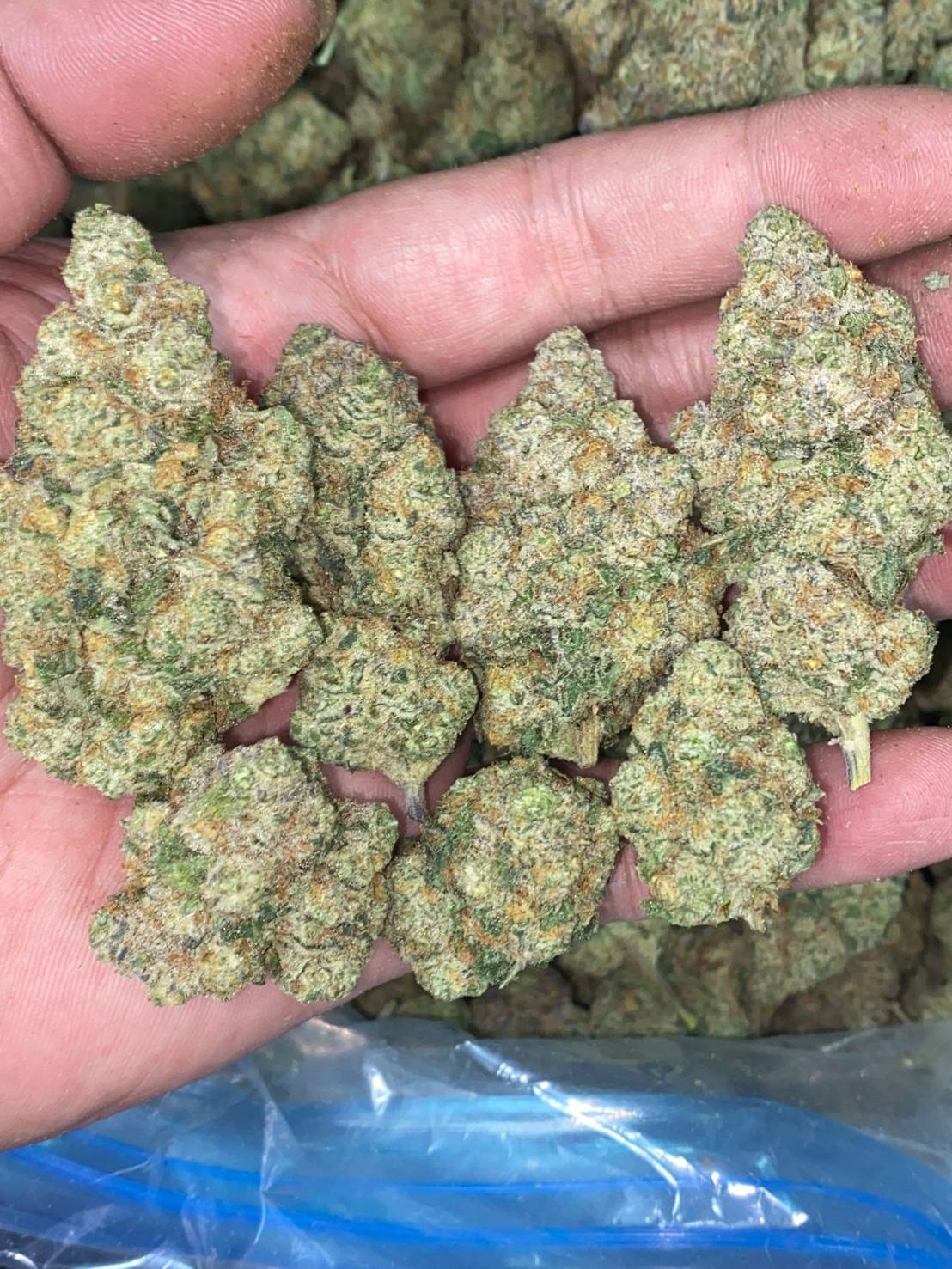 sss