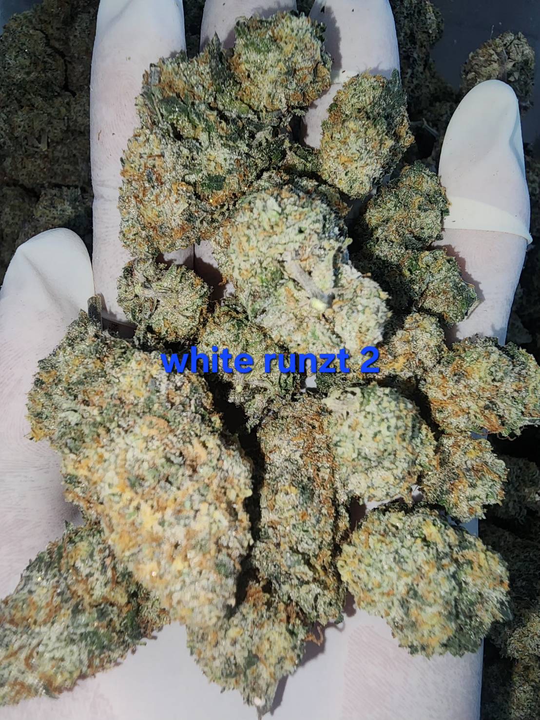 white runtz