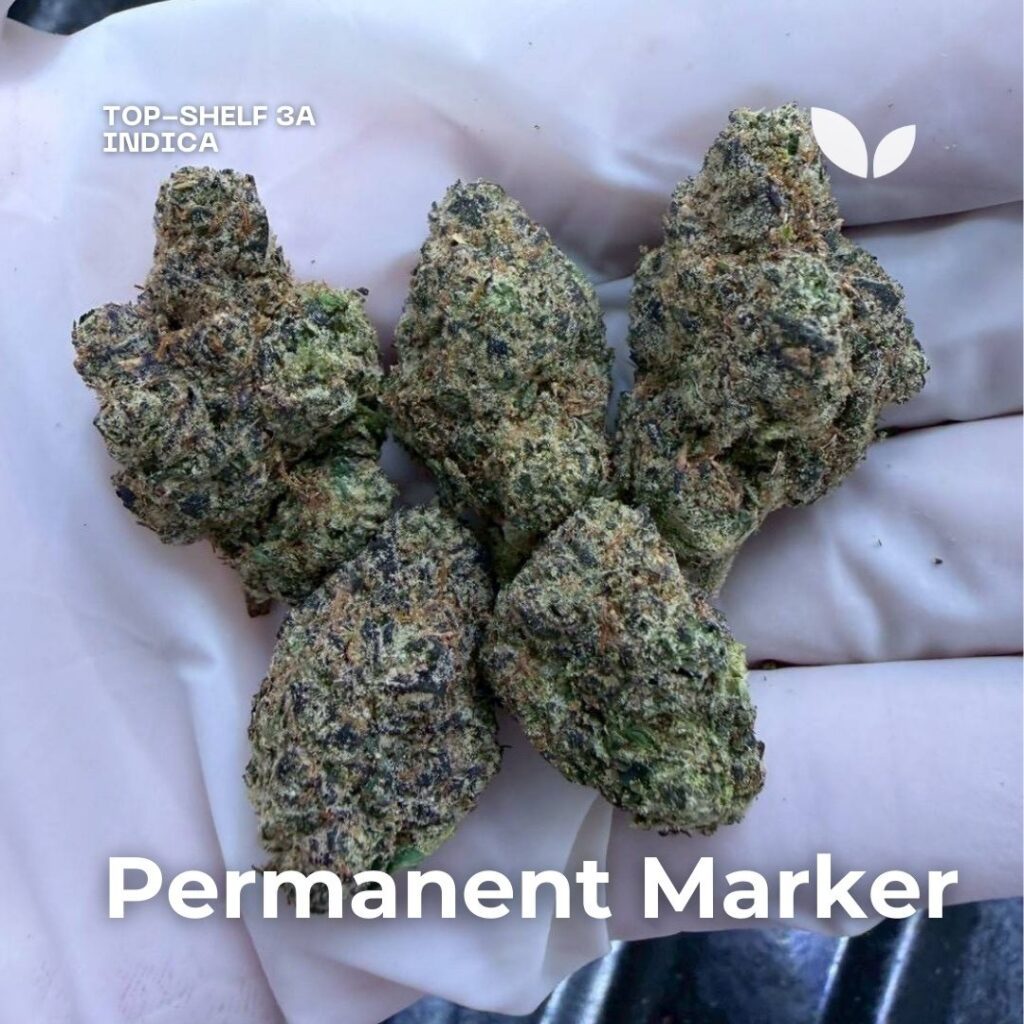 Permanent-Marker-indica-weed-phuket-scaled
