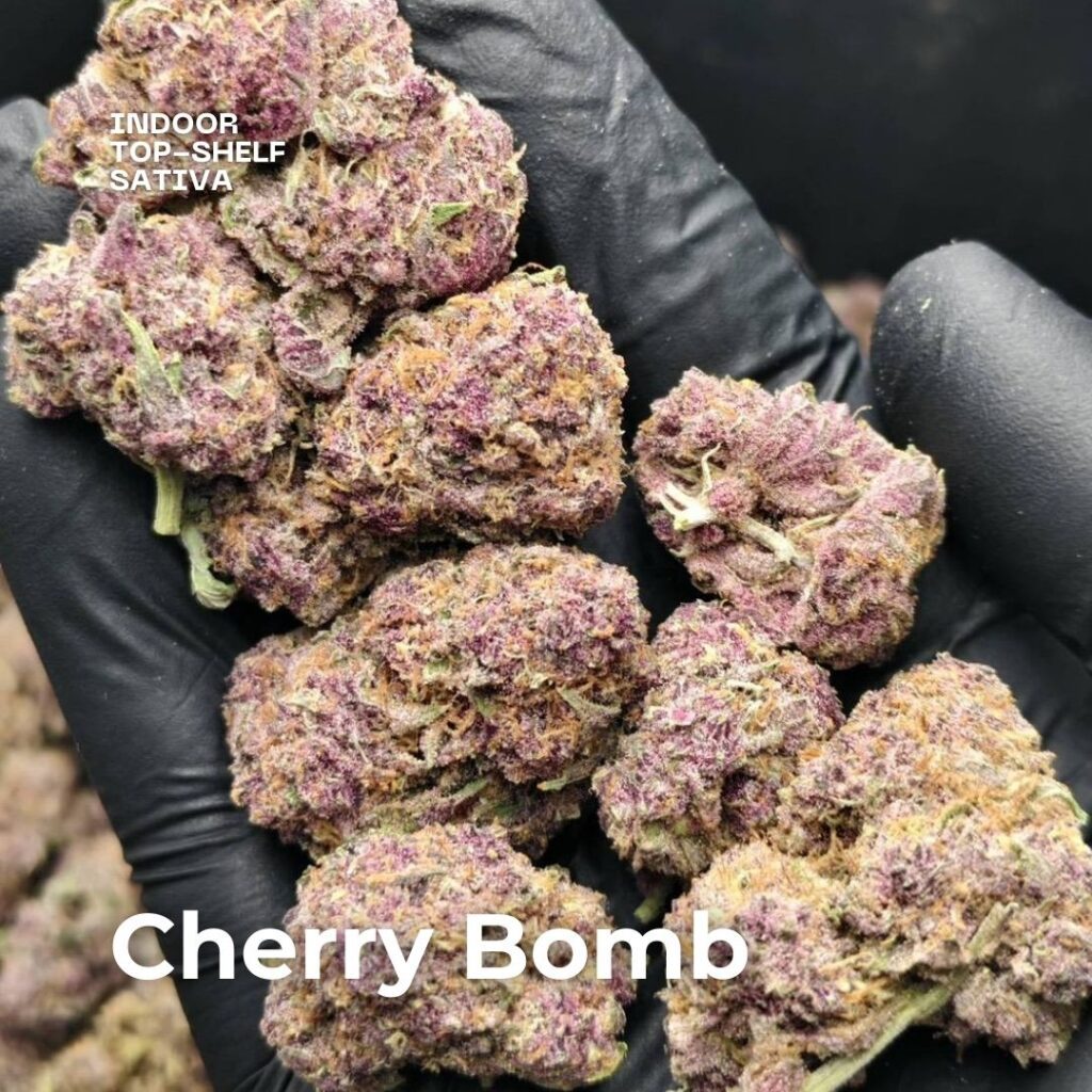 cherry-bom-sativa-cannabis--scaled