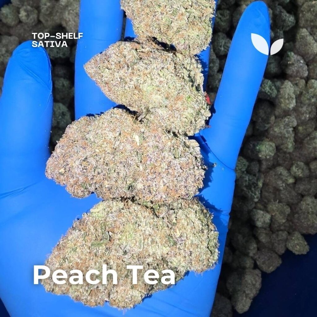 peach-tea-cannabis-strain-scaled peach-tea-cannabis-strain-scaled