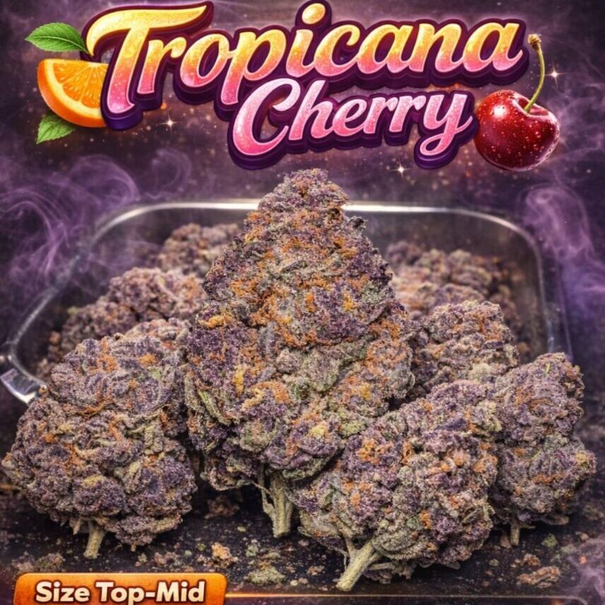 tropicana